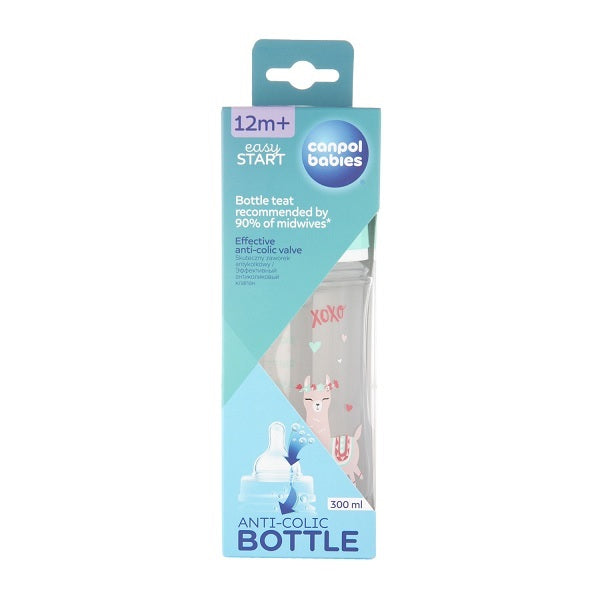 Canpol Babies Wide Neck Bottle 300ml