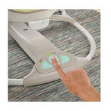 Ingenuity Convert Me Swing 2 Seat - Brighton