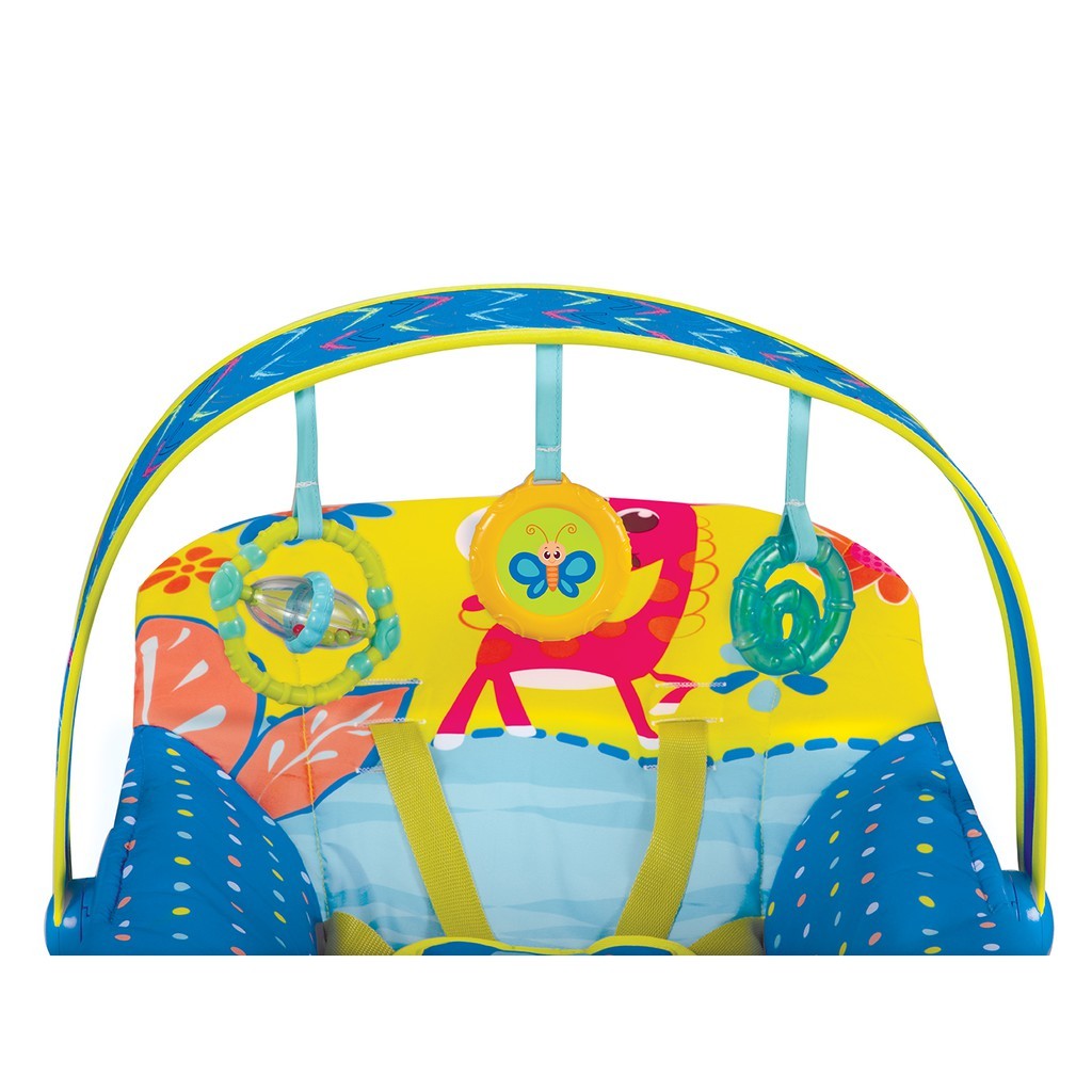 Mastela Newborn to Toddler Rocker Blue