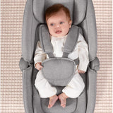 Mastela Deluxe Multi Motion Bassinet & Swing 8977