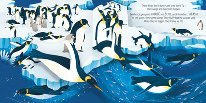 Usborne Pop-up Birds