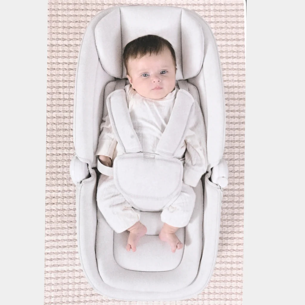 Mastela Deluxe Multi Motion Bassinet & Swing 8911