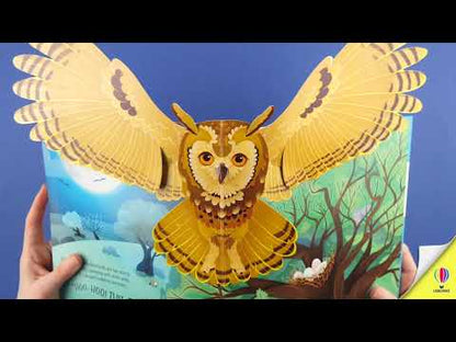 Usborne Pop-up Birds