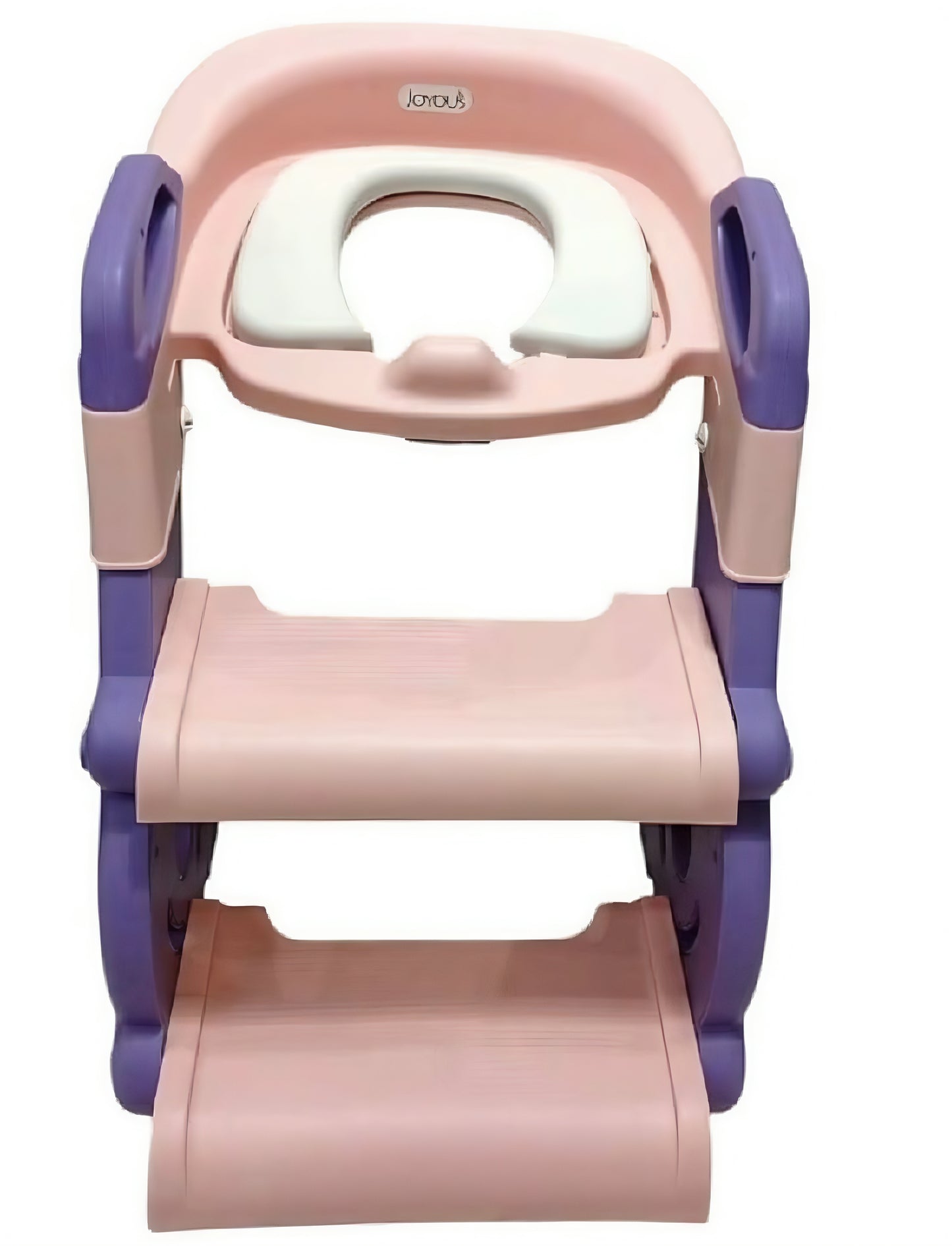 Infantes Toilet Ladder Potty Training Seat