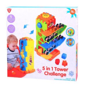 Playgo 5-in-1 Tower Challenge