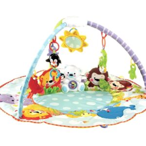 Fisher Price Precious Planet Deluxe Musical Activity Gym