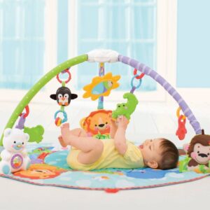 Fisher Price Precious Planet Deluxe Musical Activity Gym