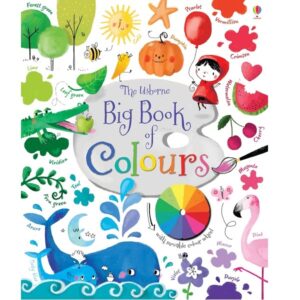 Usborne Big Book Of Colors