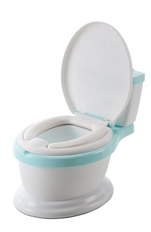 Toilet Style Potty Seat