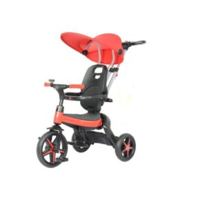 Kids Tricycle 8863-C